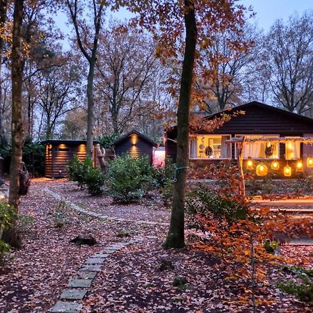 Lodge In Een Bosrijke Omgeving Met Hottub & Sauna Opt Rheezerveen Екстериор снимка