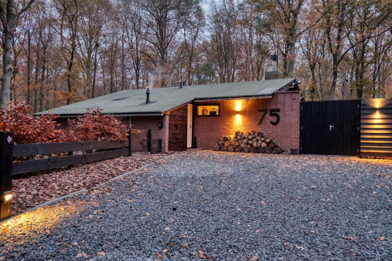 Lodge In Een Bosrijke Omgeving Met Hottub & Sauna Opt Rheezerveen Екстериор снимка